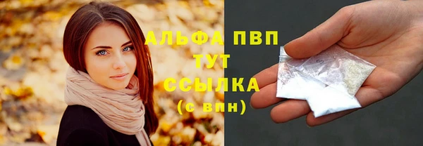 индика Наволоки