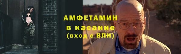 дмт Болотное