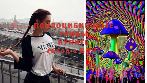 ГАЛЛЮЦИНОГЕННЫЕ ГРИБЫ Болохово