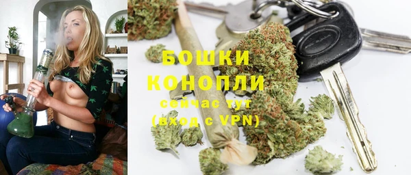 индика Наволоки