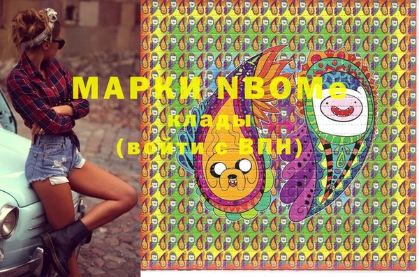 индика Наволоки