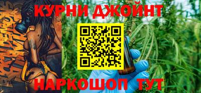 шишки Заводоуковск