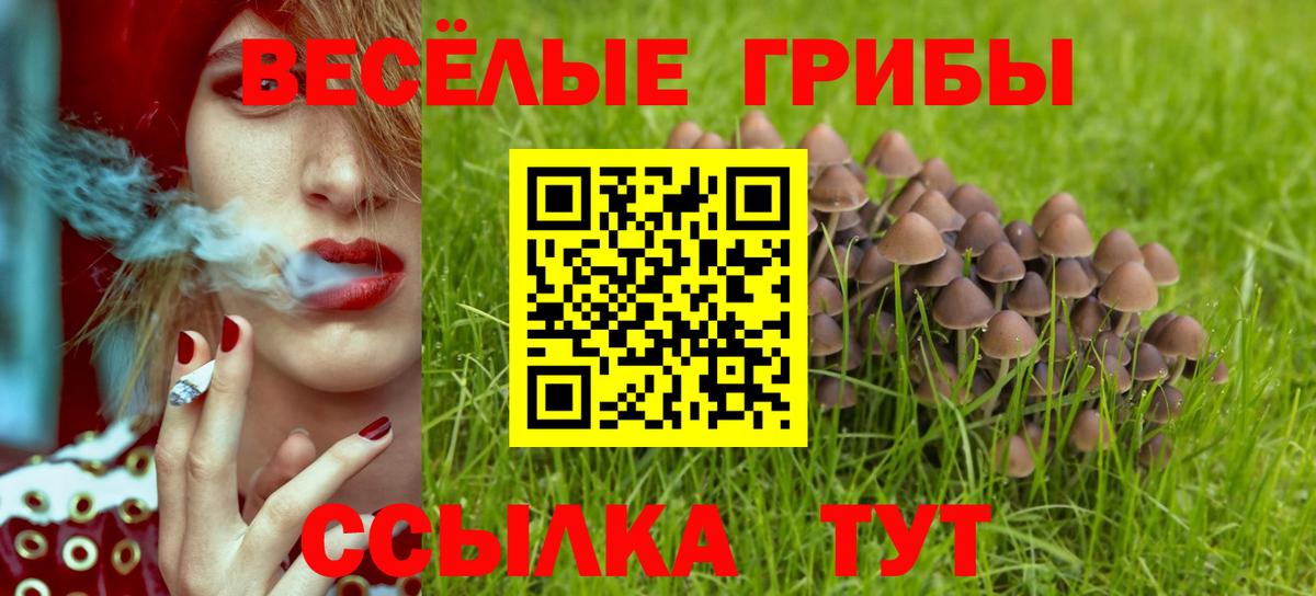 Галлюциногенные грибы Cubensis  Вход с VPN  Галлюциногенные грибы ЛСД  Зеленокумск 