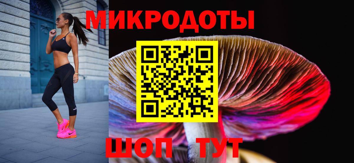 Галлюциногенные грибы прущие грибы  дарнет шоп  Зеленокумск  Галлюциногенные грибы Psilocybe 